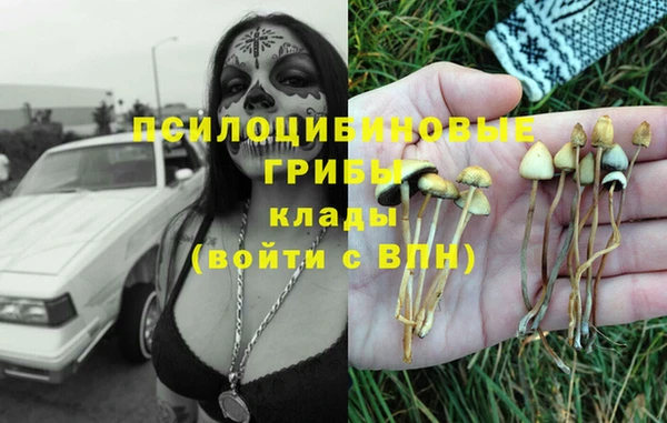 экстази Переславль-Залесский