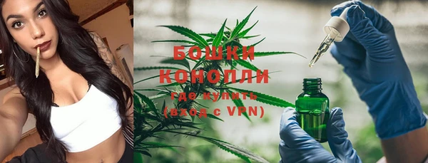 бошки Пестово
