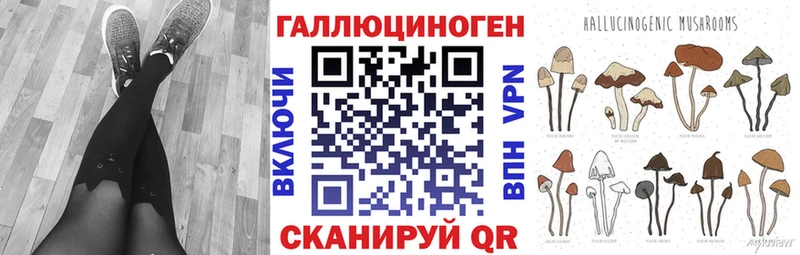Псилоцибиновые грибы MAGIC MUSHROOMS  Терек 