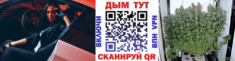 shop телеграм  Терек  МАРИХУАНА OG Kush 
